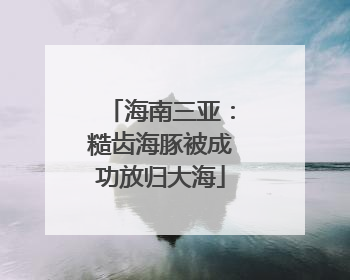 海南三亚：糙齿海豚被成功放归大海