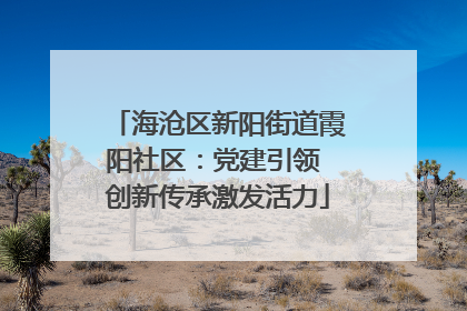 海沧区新阳街道霞阳社区：党建引领 创新传承激发活力