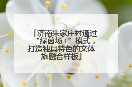 济南朱家庄村通过“绿茵场+”模式，打造独具特色的文体旅融合样板