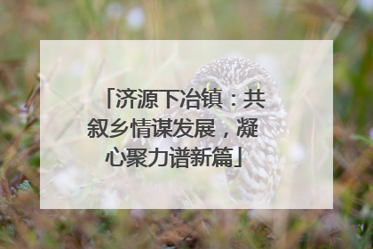 济源下冶镇：共叙乡情谋发展，凝心聚力谱新篇