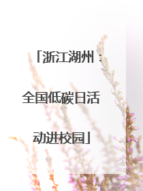 浙江湖州：全国低碳日活动进校园
