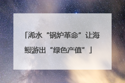 浠水“锅炉革命”让海鳗游出“绿色产值”