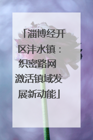 淄博经开区沣水镇：织密路网 激活镇域发展新动能