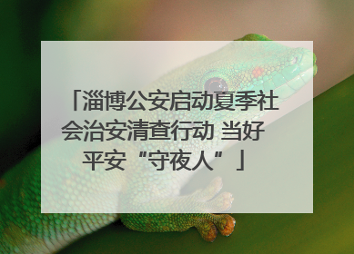 淄博公安启动夏季社会治安清查行动 当好平安“守夜人”