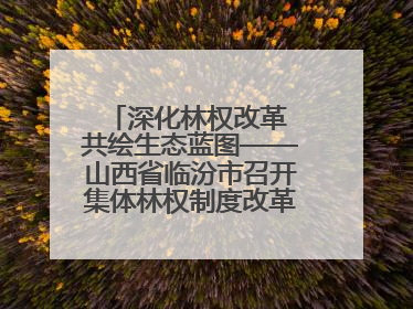深化林权改革 共绘生态蓝图——山西省临汾市召开集体林权制度改革专题研讨会