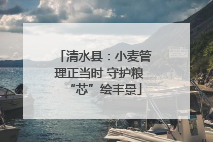 清水县：小麦管理正当时 守护粮“芯”绘丰景