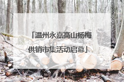 温州永嘉高山杨梅供销市集活动启幕