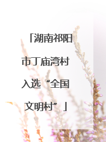 湖南祁阳市丁庙湾村入选“全国文明村”