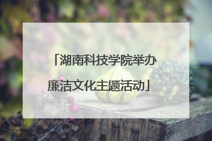 湖南科技学院举办廉洁文化主题活动