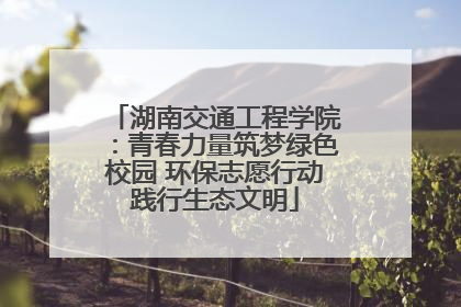 湖南交通工程学院：青春力量筑梦绿色校园 环保志愿行动践行生态文明