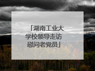 湖南工业大学校领导走访慰问老党员