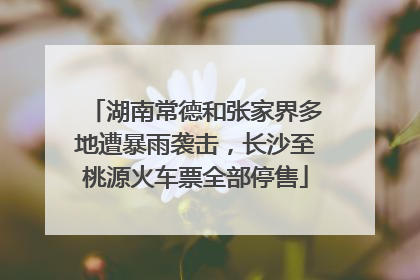 湖南常德和张家界多地遭暴雨袭击，长沙至桃源火车票全部停售