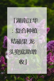 湖南江华：复合种植结硕果 龙头兜底助增收