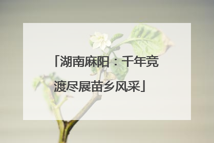湖南麻阳：千年竞渡尽展苗乡风采