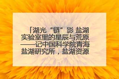 湖光“链”影 盐湖实验室里的星辰与荒原——记中国科学院青海盐湖研究所，盐湖资源化学实验室党总支书记、副主任刘忠