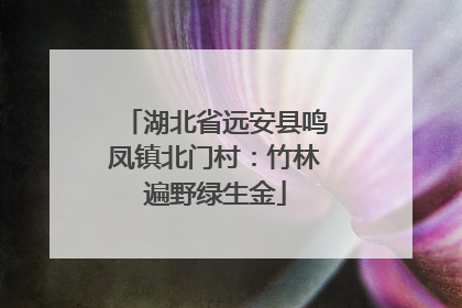 湖北省远安县鸣凤镇北门村：竹林遍野绿生金