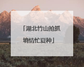 湖北竹山抢抓墒情忙夏种
