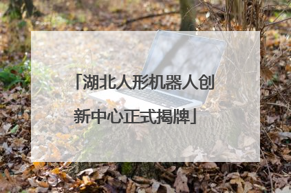 湖北人形机器人创新中心正式揭牌