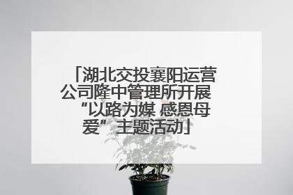 湖北交投襄阳运营公司隆中管理所开展“以路为媒 感恩母爱”主题活动