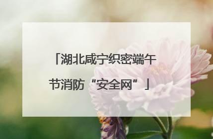 湖北咸宁织密端午节消防“安全网”