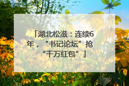 湖北松滋：连续6年，“书记论坛”抢“千万红包”