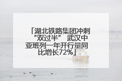 湖北铁路集团冲刺“双过半” 武汉中亚班列一年开行量同比增长72%
