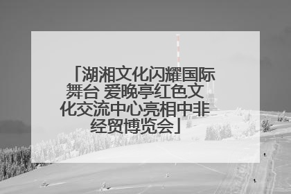 湖湘文化闪耀国际舞台 爱晚亭红色文化交流中心亮相中非经贸博览会