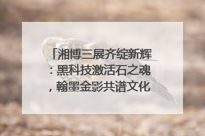 湘博三展齐绽新辉：黑科技激活石之魂，翰墨金影共谱文化遗产日华章