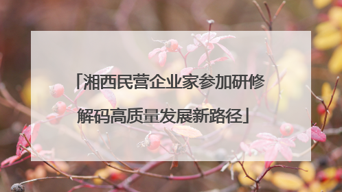 湘西民营企业家参加研修 解码高质量发展新路径