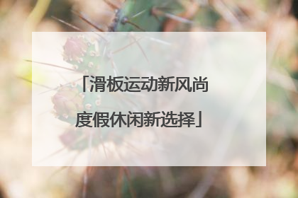 滑板运动新风尚 度假休闲新选择