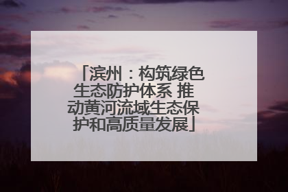 滨州：构筑绿色生态防护体系 推动黄河流域生态保护和高质量发展