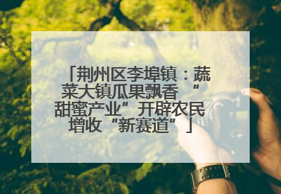 荆州区李埠镇：蔬菜大镇瓜果飘香 “甜蜜产业”开辟农民增收“新赛道”