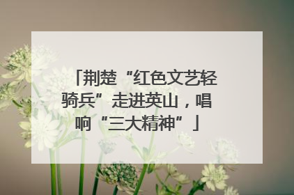 荆楚“红色文艺轻骑兵”走进英山，唱响“三大精神”