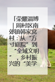 荣耀淄博｜周村区南郊镇韩家窝村：从“方寸庭院”到“全域文明”，乡村振兴的“美学革命”