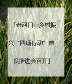 老河口市乡村振兴“四项行动”建设推进会召开