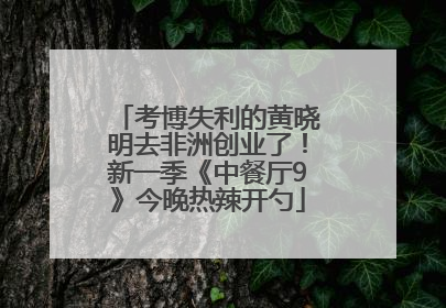 考博失利的黄晓明去非洲创业了！新一季《中餐厅9》今晚热辣开勺