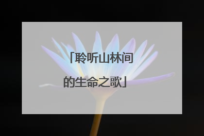 聆听山林间的生命之歌