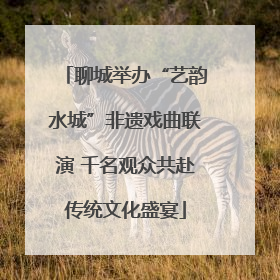 聊城举办“艺韵水城”非遗戏曲联演 千名观众共赴传统文化盛宴