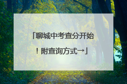 聊城中考查分开始！附查询方式→