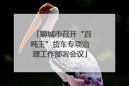 聊城市召开“百吨王”货车专项治理工作部署会议