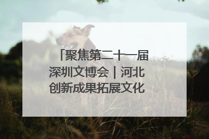 聚焦第二十一届深圳文博会｜河北创新成果拓展文化产业“朋友圈”
