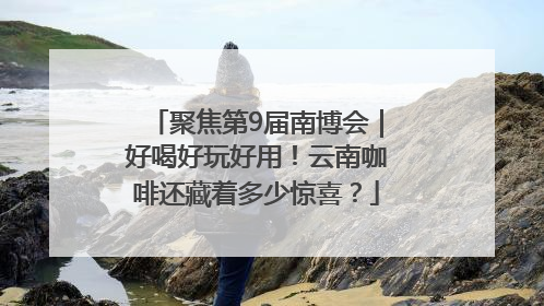聚焦第9届南博会｜好喝好玩好用！云南咖啡还藏着多少惊喜？
