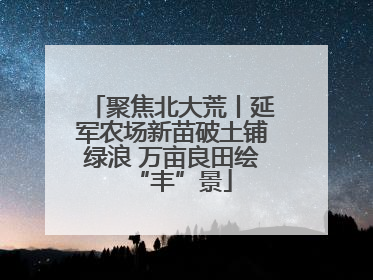 聚焦北大荒丨延军农场新苗破土铺绿浪 万亩良田绘“丰”景