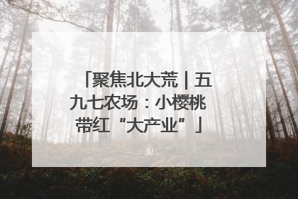 聚焦北大荒｜五九七农场：小樱桃带红“大产业”