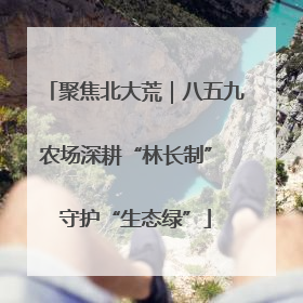 聚焦北大荒｜八五九农场深耕“林长制” 守护“生态绿”