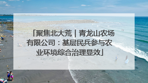聚焦北大荒｜青龙山农场有限公司：基层民兵参与农业环境综合治理显效