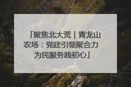聚焦北大荒｜青龙山农场：党建引领聚合力 为民服务践初心