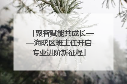 聚智赋能共成长——海曙区班主任开启专业进阶新征程