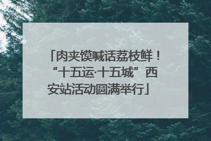 肉夹馍喊话荔枝鲜！“十五运·十五城”西安站活动圆满举行