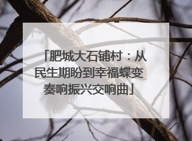 肥城大石铺村：从民生期盼到幸福蝶变奏响振兴交响曲
